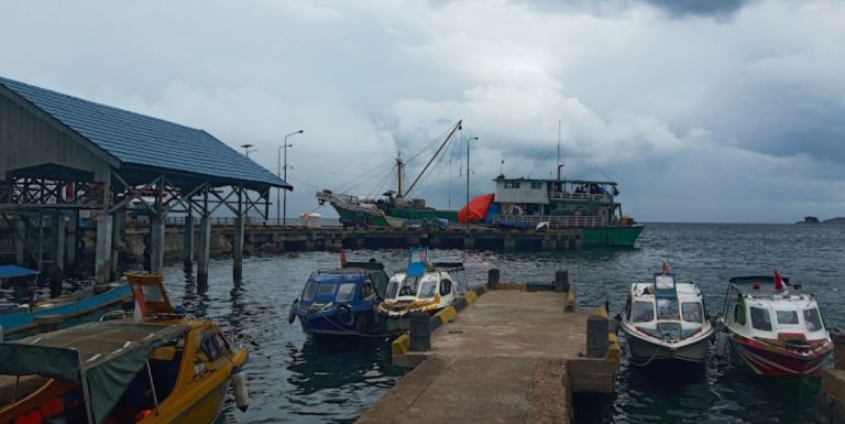 deretan kapal sandar di pelabuhan banggai 768x385