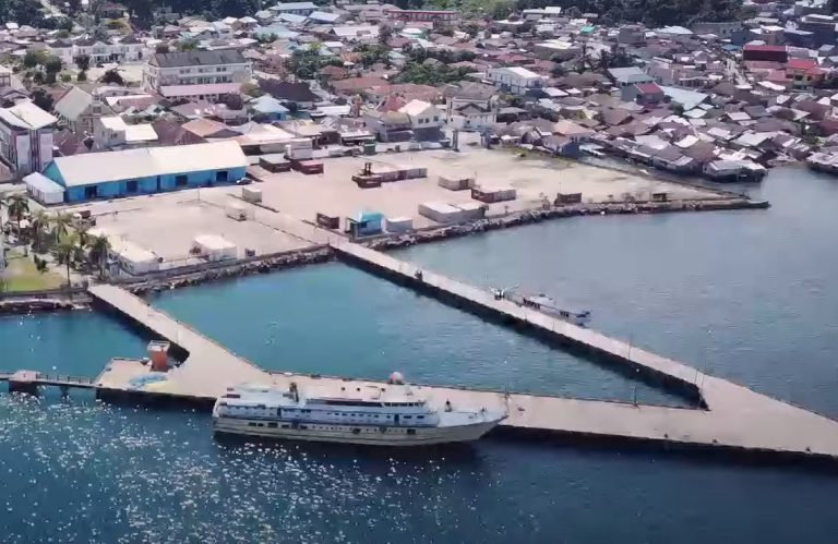 pelabuhan banggai dari drone 768x499