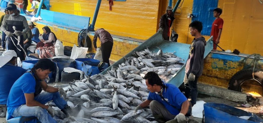 Pelabuhan Perikanan Samudera Nizam Zachman